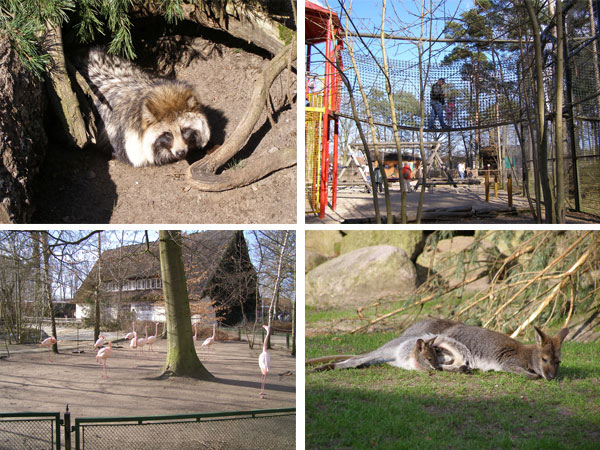 Tierpark Ueckermünde Tierpark Ueckermünde